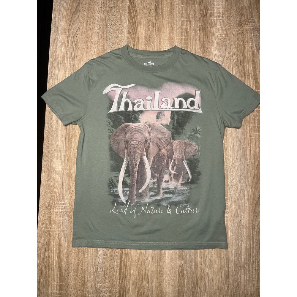 Hollister Men's Green Relaxed Thailand Elephants Graphic Tee Small